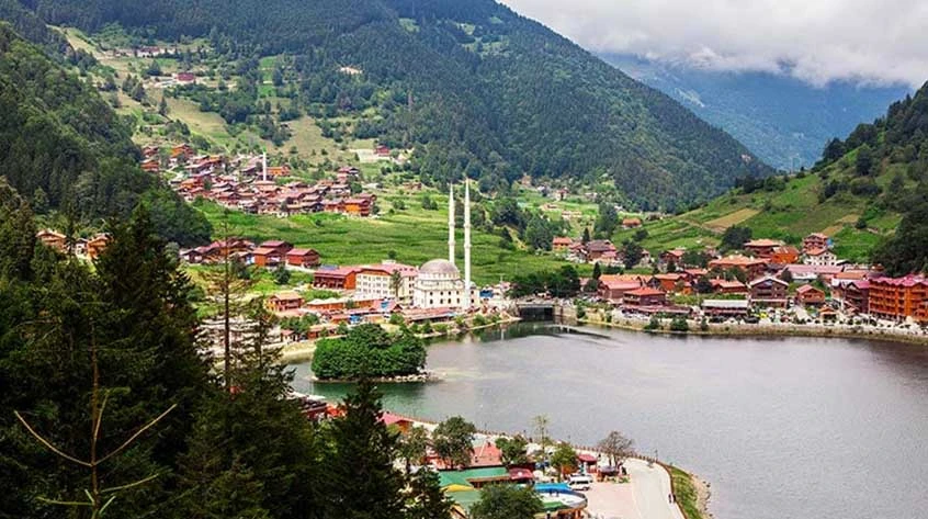 Gürpınar Evden Eve Nakliyat